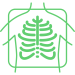 X-rays and Laboratory Services